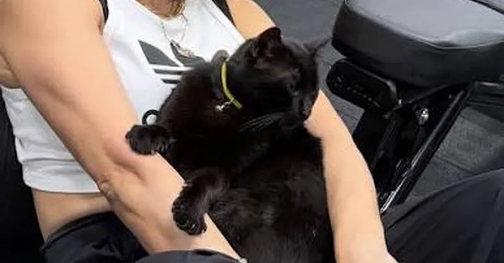Survivor Seda Ocak'ın acı günü. Zeytin'i kaybetti